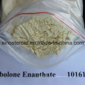 Effective Medical Steroid Powder Trenbolone Enanthate for Burn Fat